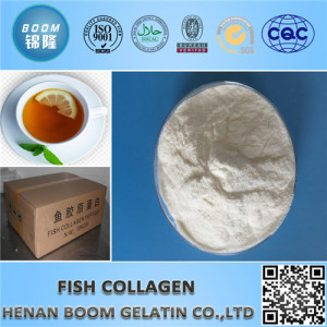 Food & Cosmetic Grade 100% Natural Collagen Powder