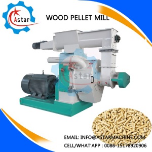 Hardwood Sawdust Pellet Making Machine for Sale