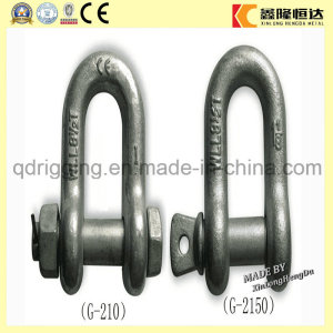 Us Type Drop Forged Screw Pin Bow Shackle Anchor Shackle