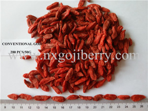 Ningxia Dried Goji Berries 280 PCS/50g