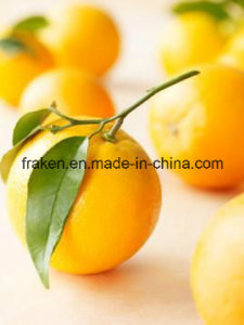 High Quality Citrus Pectin